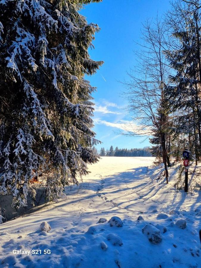 Ferienhaeuser Olbernhau Erzgebirge Esterno foto