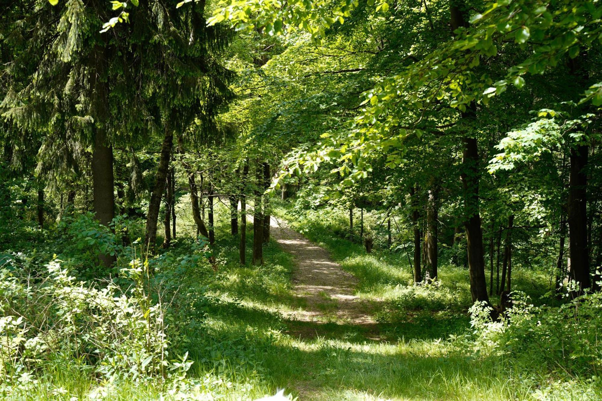 Ferienhaeuser Olbernhau Erzgebirge Esterno foto